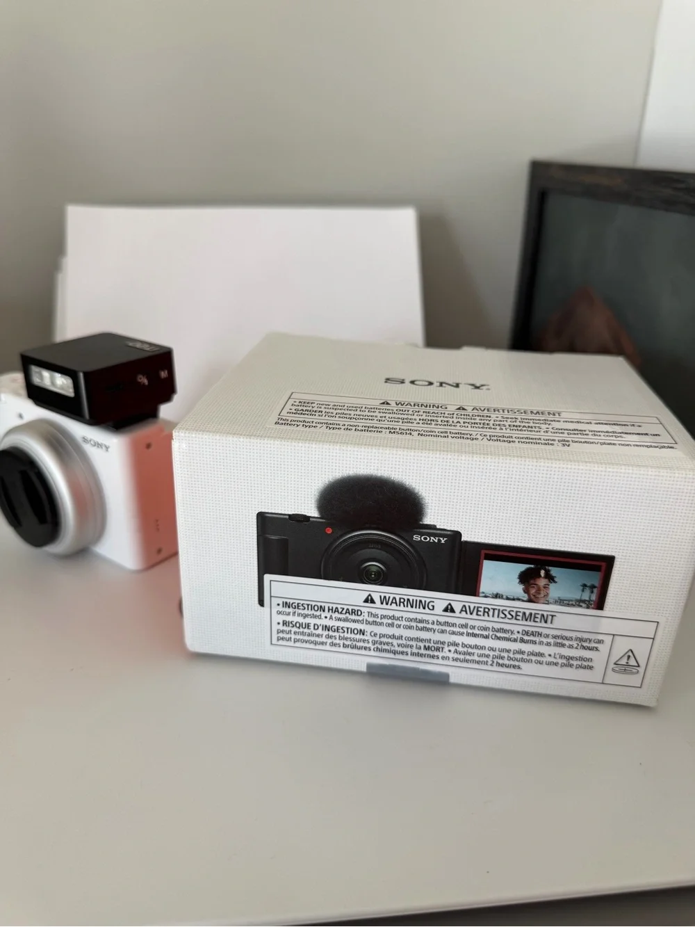 Sony Zv1f